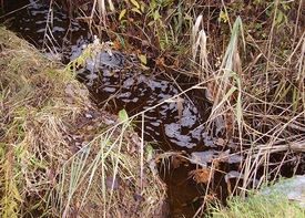 Photo comité de l'eau